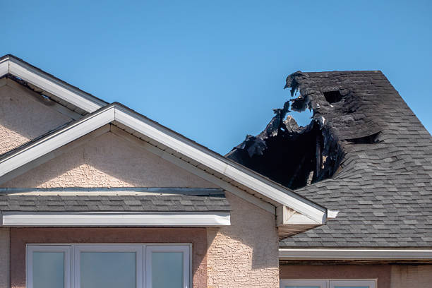 Top rated local Board Up Services specialists in Ambler, PA